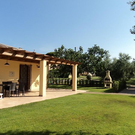 Agriturismo Dallolivo Bolgheri Exteriér fotografie