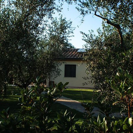 Agriturismo Dallolivo Bolgheri Exteriér fotografie