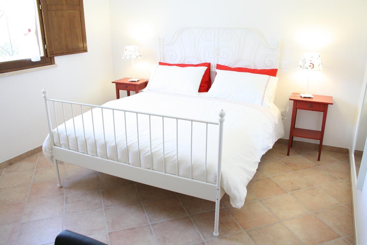 Agriturismo Dallolivo Bolgheri Exteriér fotografie