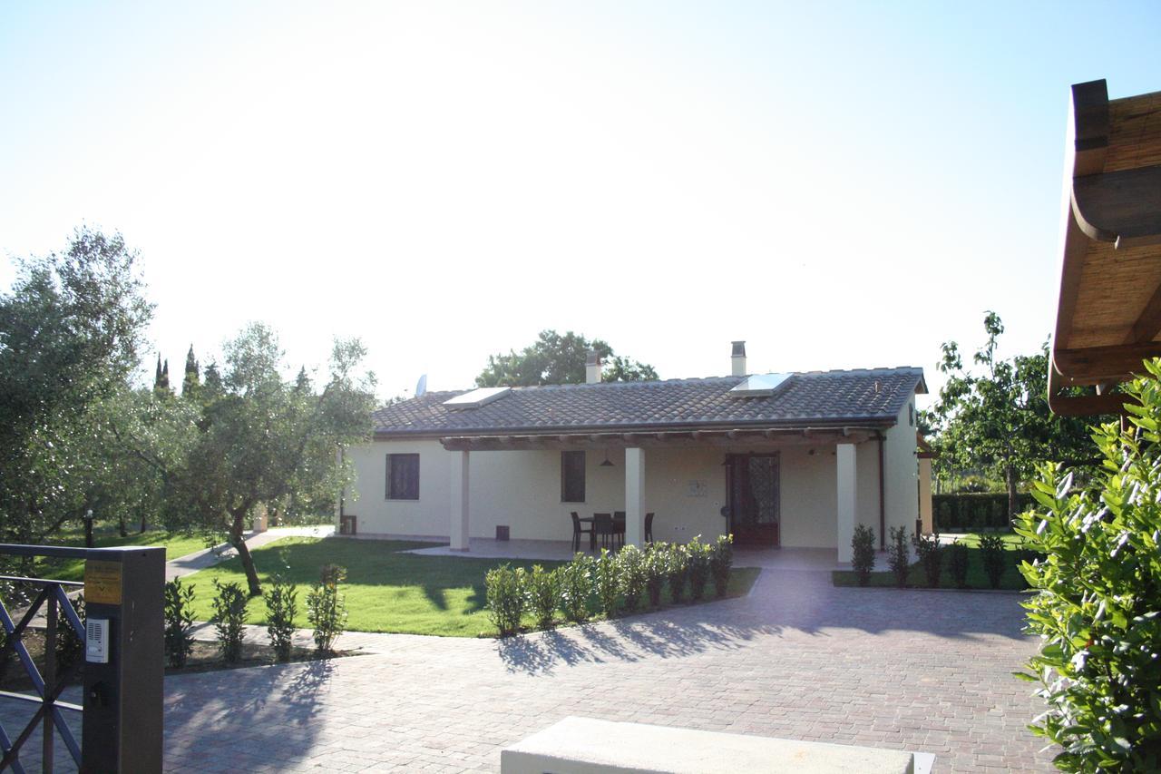 Agriturismo Dallolivo Bolgheri Exteriér fotografie