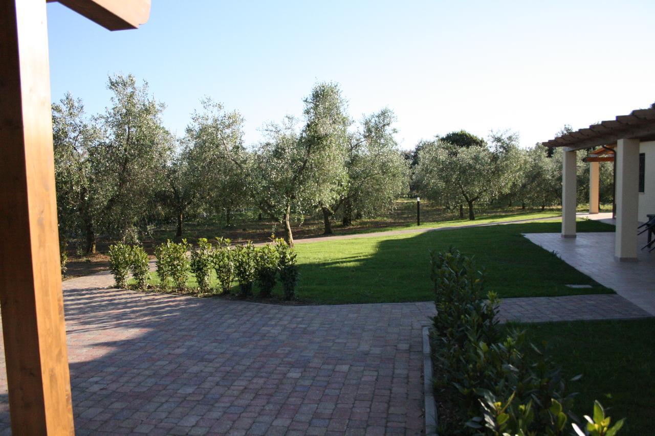 Agriturismo Dallolivo Bolgheri Exteriér fotografie