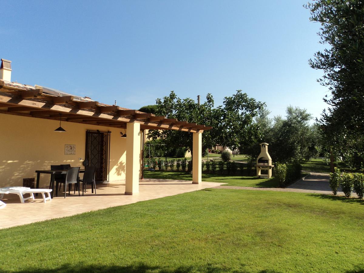 Agriturismo Dallolivo Bolgheri Exteriér fotografie