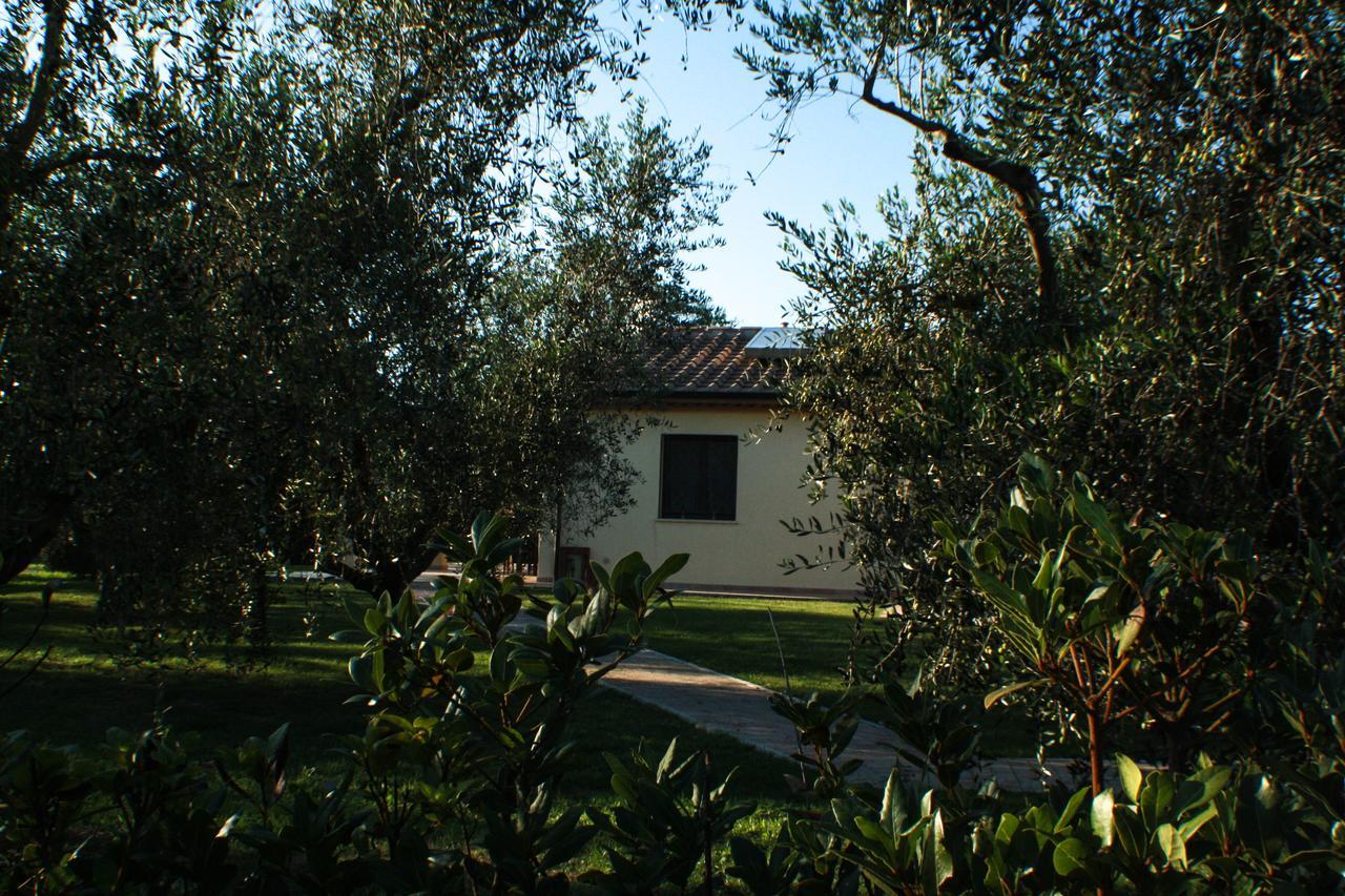 Agriturismo Dallolivo Bolgheri Exteriér fotografie