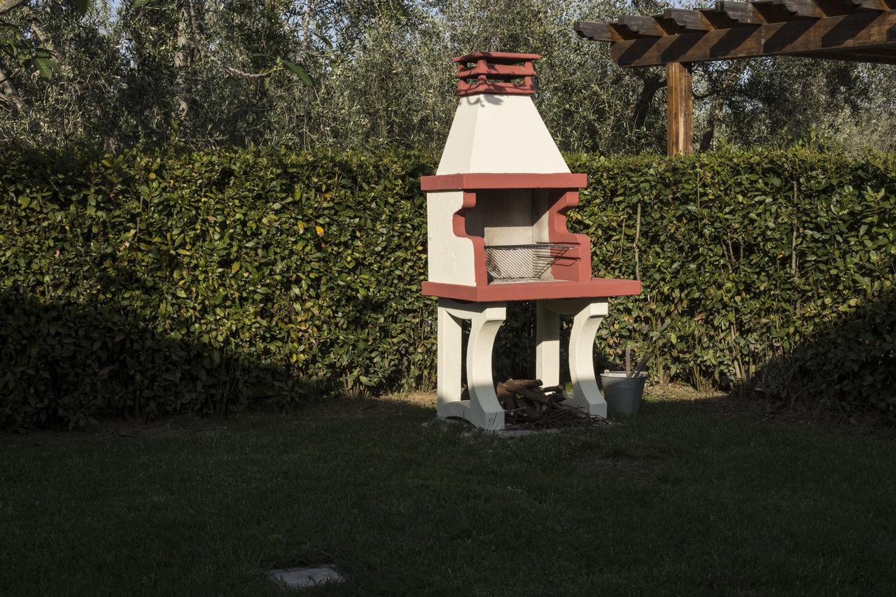 Agriturismo Dallolivo Bolgheri Exteriér fotografie