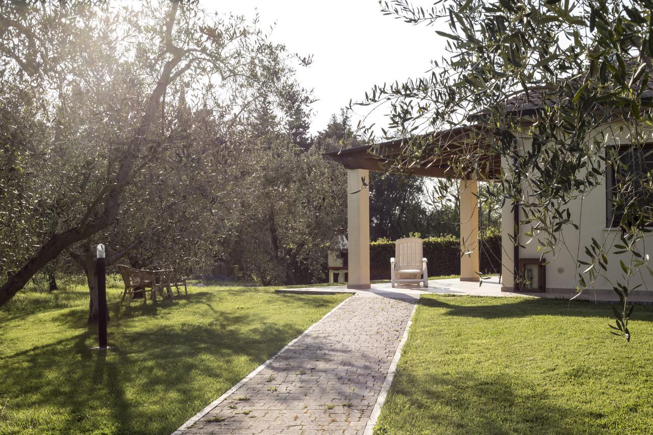 Agriturismo Dallolivo Bolgheri Exteriér fotografie