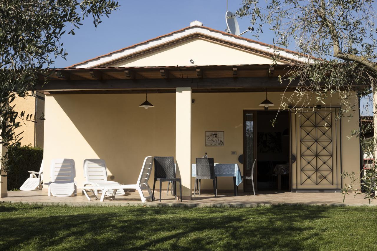 Agriturismo Dallolivo Bolgheri Exteriér fotografie