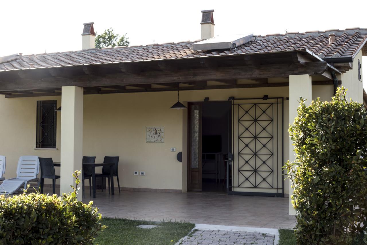 Agriturismo Dallolivo Bolgheri Exteriér fotografie